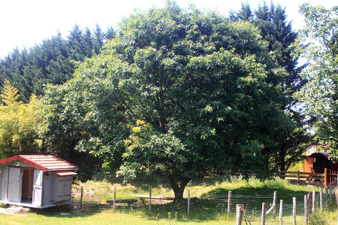 Tente Trappeur Ada, Au Jardin De La Vouivre Saint-Vincent-en-Bresse Exteriér fotografie