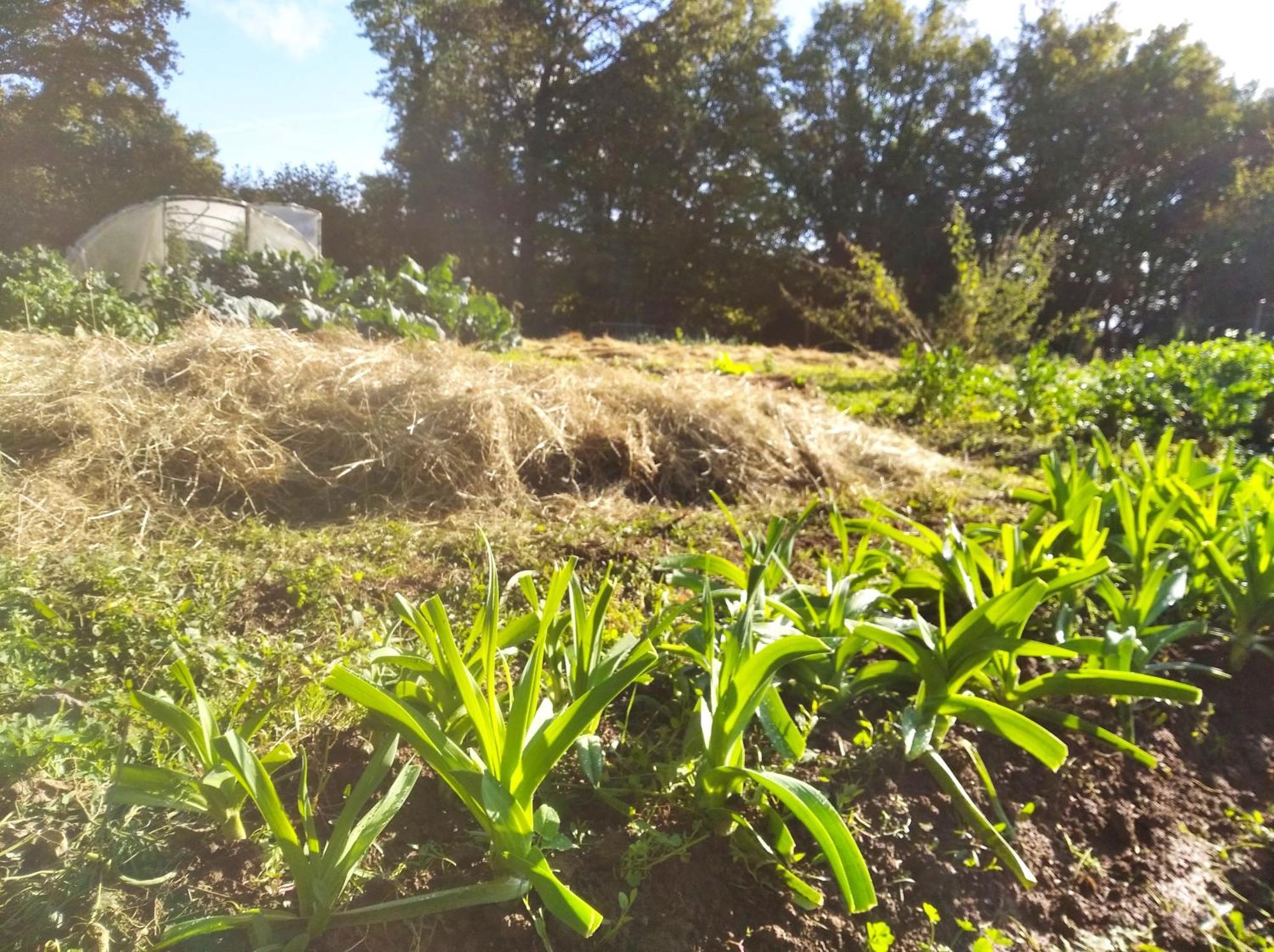 Tente Trappeur Ada, Au Jardin De La Vouivre Saint-Vincent-en-Bresse Exteriér fotografie