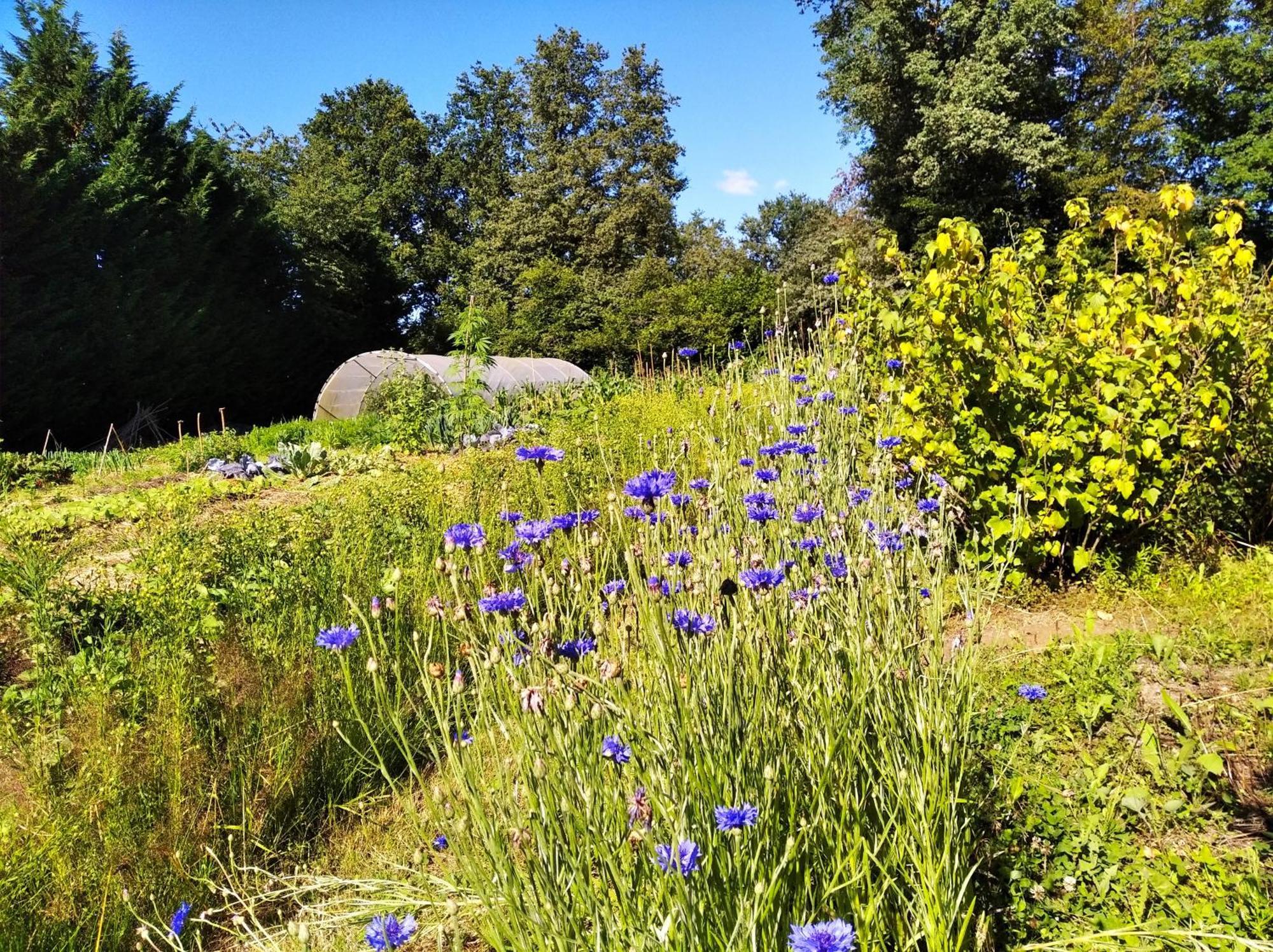 Tente Trappeur Ada, Au Jardin De La Vouivre Saint-Vincent-en-Bresse Exteriér fotografie