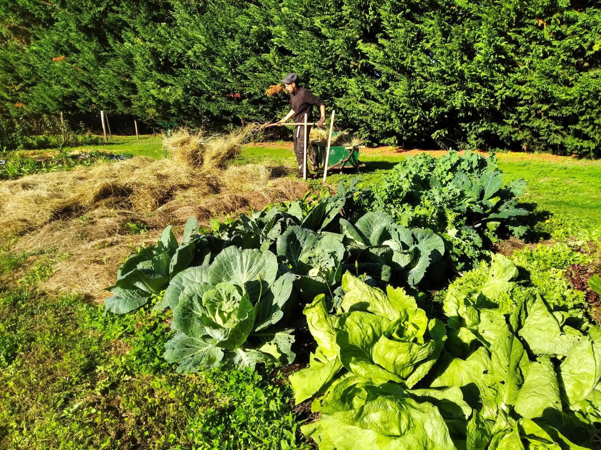 Tente Trappeur Ada, Au Jardin De La Vouivre Saint-Vincent-en-Bresse Exteriér fotografie