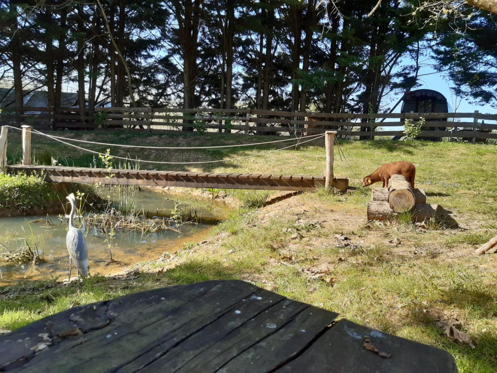Tente Trappeur Ada, Au Jardin De La Vouivre Saint-Vincent-en-Bresse Exteriér fotografie