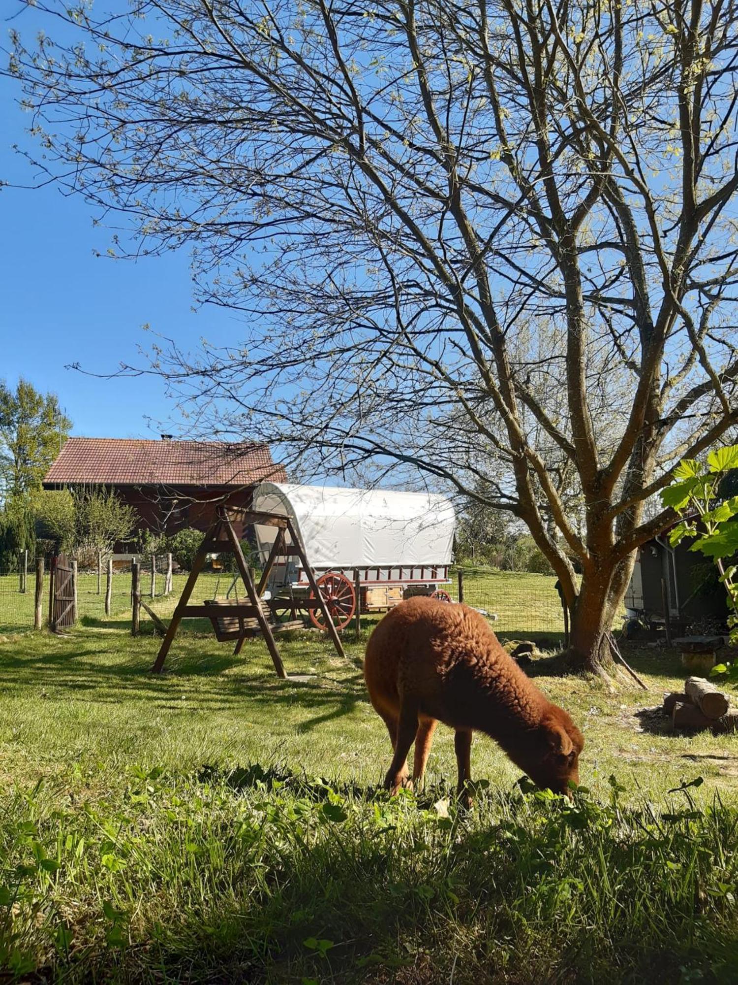 Tente Trappeur Ada, Au Jardin De La Vouivre Saint-Vincent-en-Bresse Exteriér fotografie